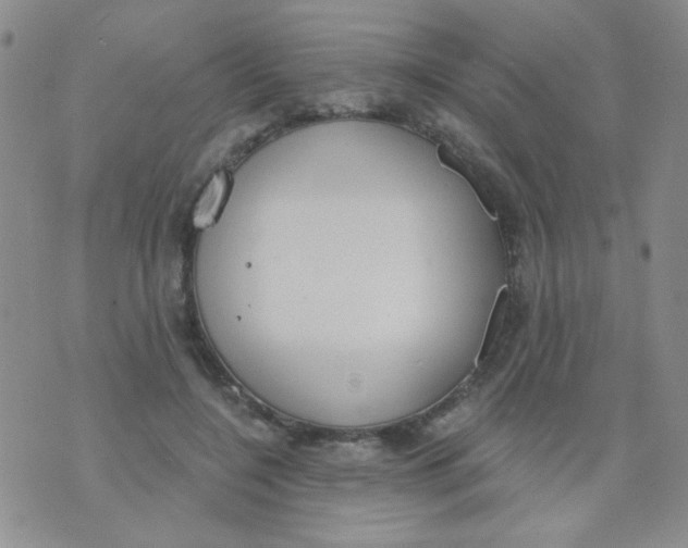 X0000074320548200609152034