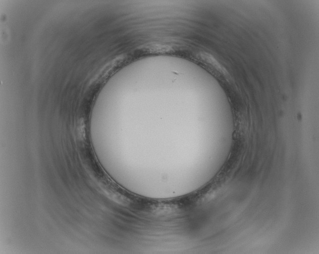 X0000074320549200609152034