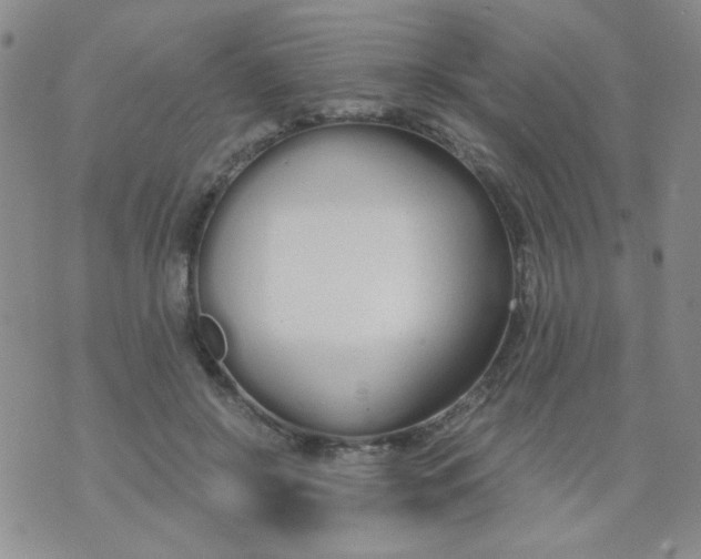 X0000074320550200609152035