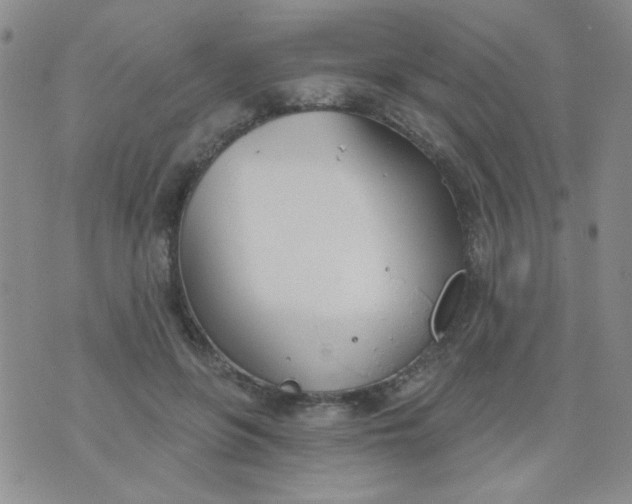 X0000074320551200609152035