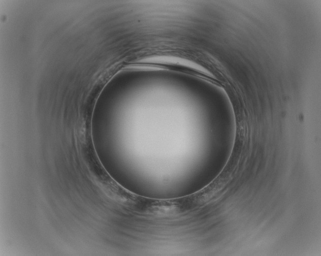 X0000074320552200609152035