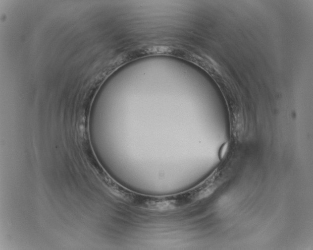 X0000074320553200609152035