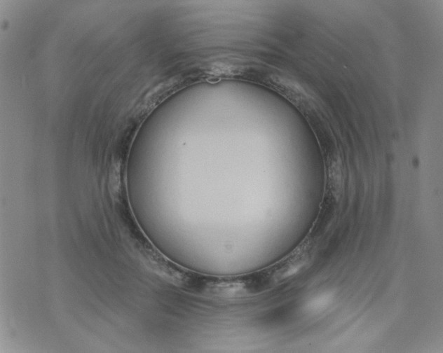 X0000074320554200609152035