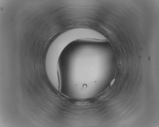 X0000074320556200609152035