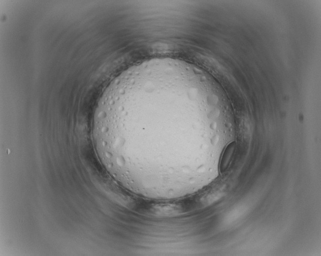 X0000074320557200609152035