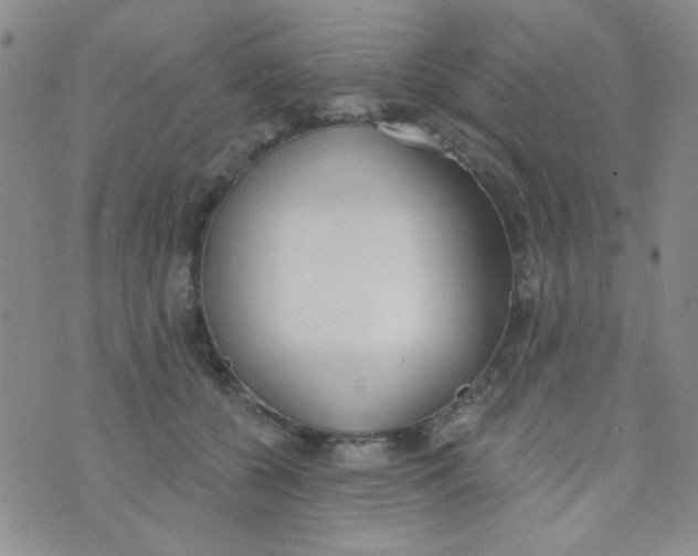 X0000074320560200609152035