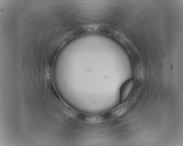 X0000074320561200609152035