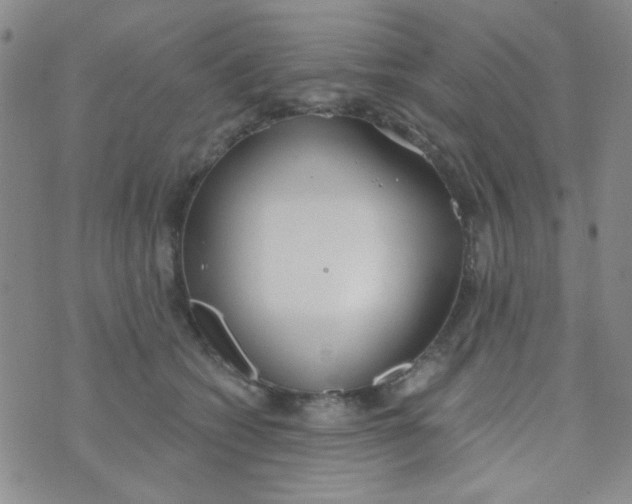 X0000074320562200609152035