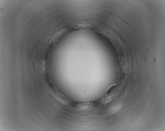 X0000074320563200609152035