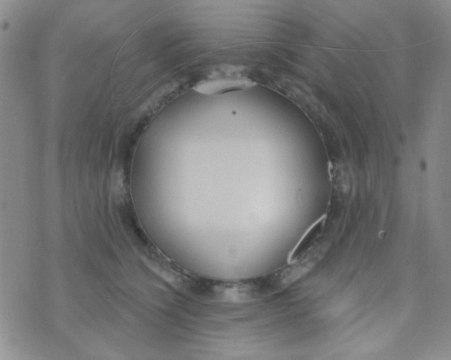 X0000074320564200609152035