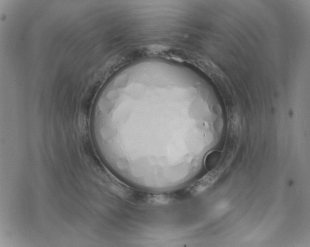 X0000074320565200609152035