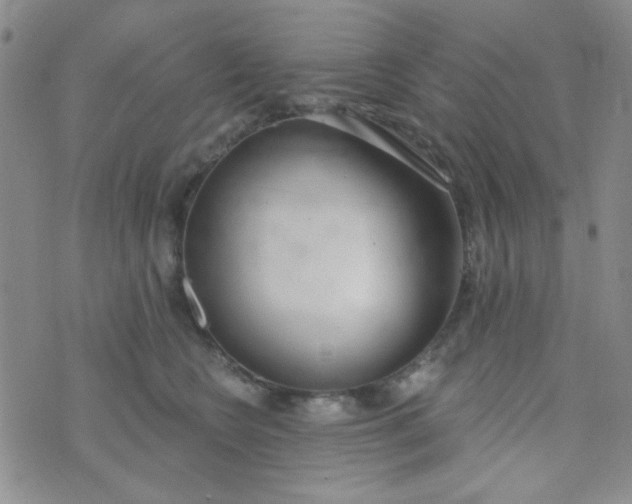 X0000074320566200609152035