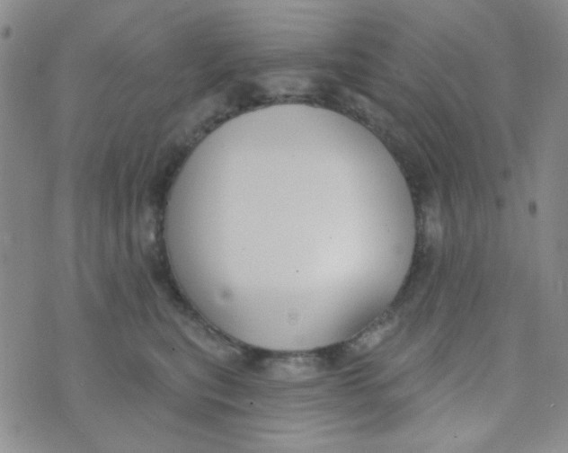 X0000074320567200609152035