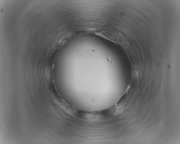 X0000074320568200609152035