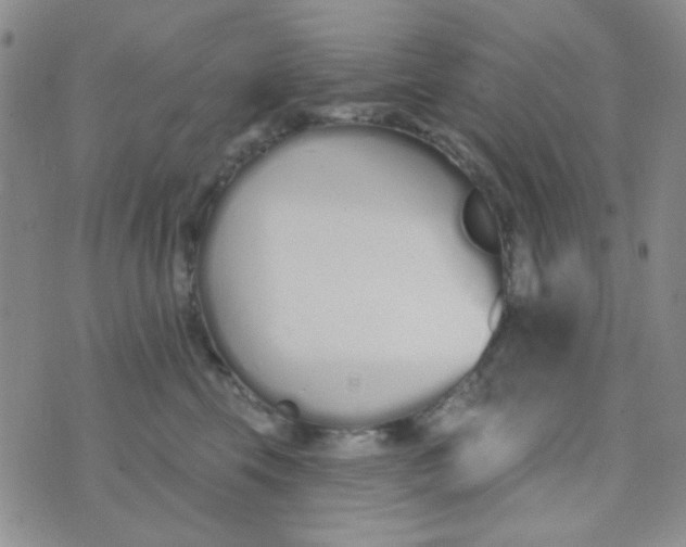 X0000074320569200609152035