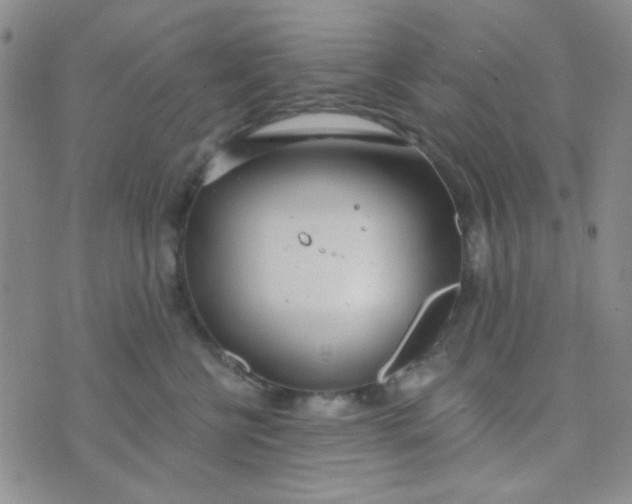 X0000074320570200609152035