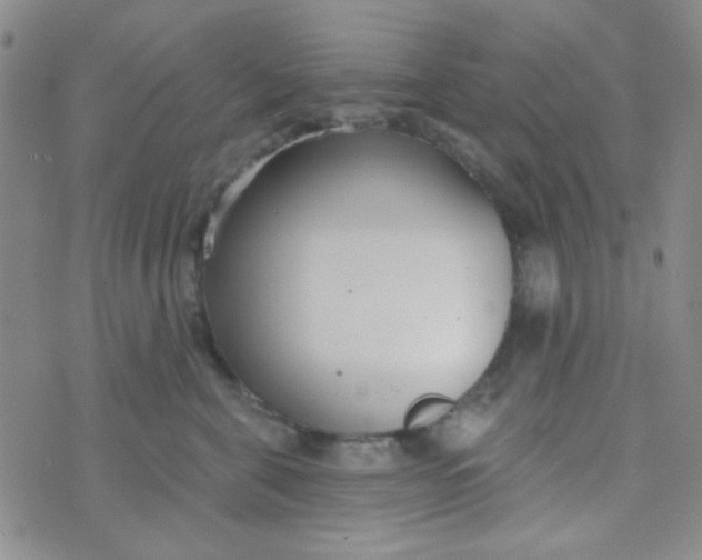 X0000074320571200609152035