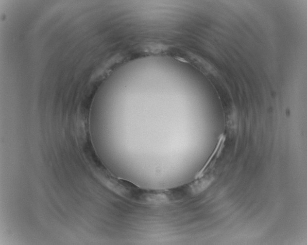 X0000074320572200609152035