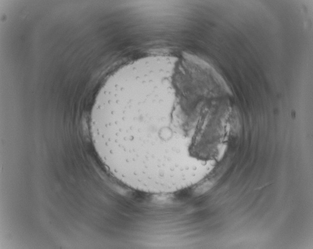 X0000074320573200609152035