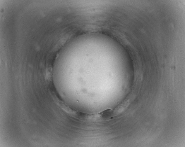 X0000074320576200609152035