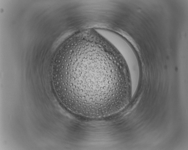 X0000074320577200609152034