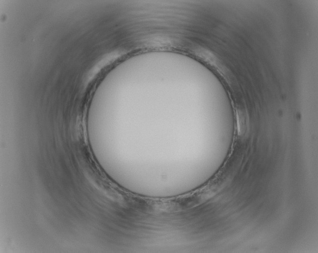 X0000074320579200609152034