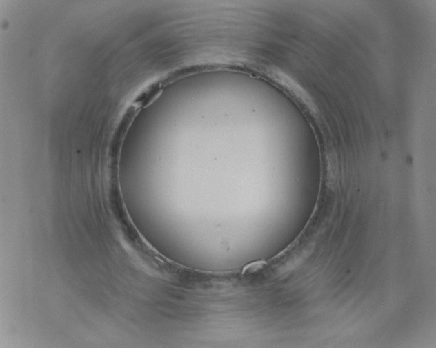 X0000074320580200609152034