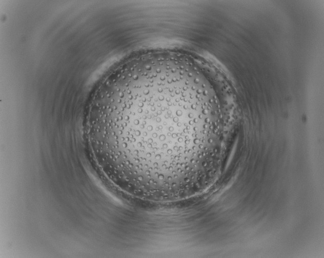 X0000074320581200609152034