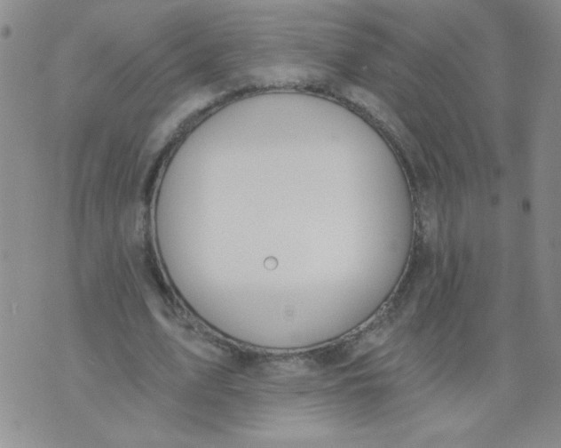 X0000074320583200609152034