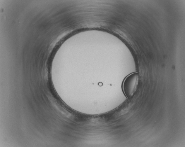 X0000074320584200609152034