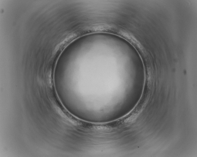 X0000074320585200609152034