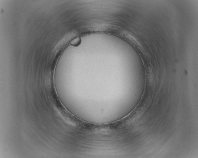 X0000074320586200609152034