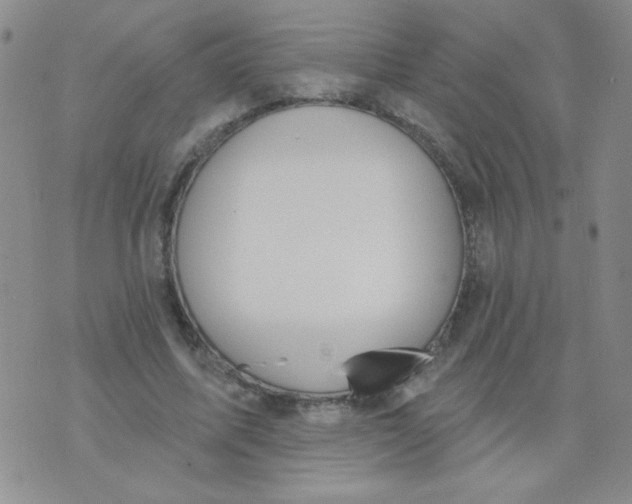 X0000074320587200609152034