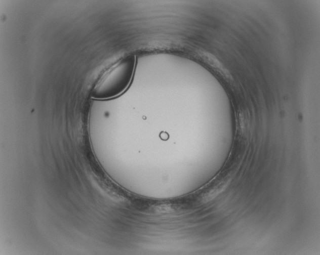 X0000074320588200609152034