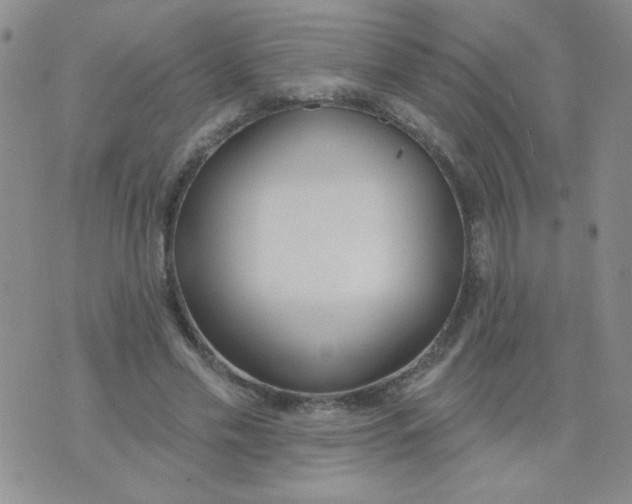 X0000074320589200609152034