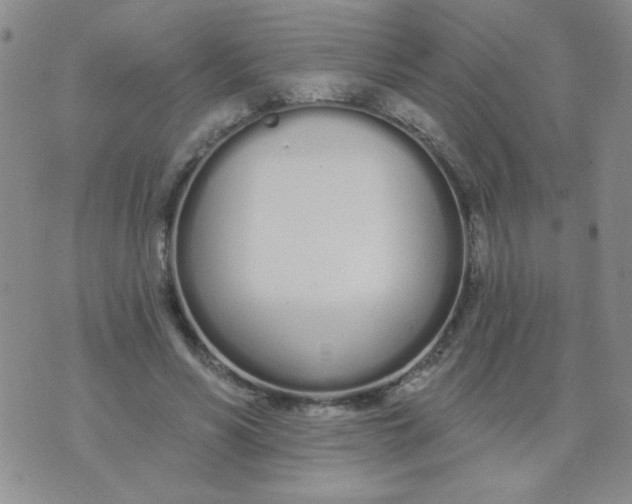 X0000074320590200609152034