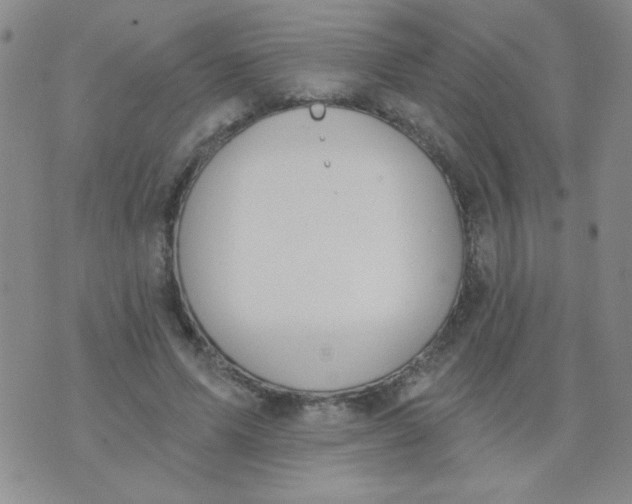 X0000074320591200609152034