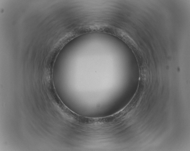 X0000074320593200609152034