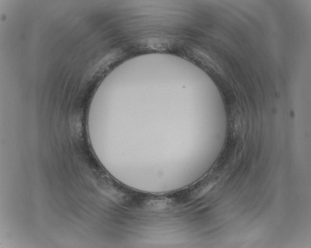 X0000074320595200609152034