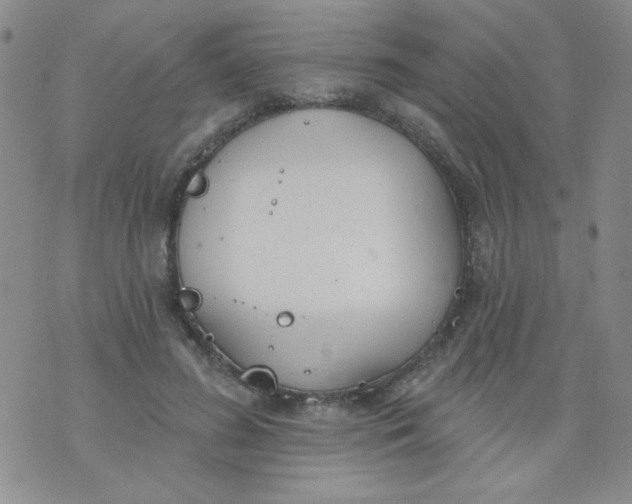 X0000074320596200609152034