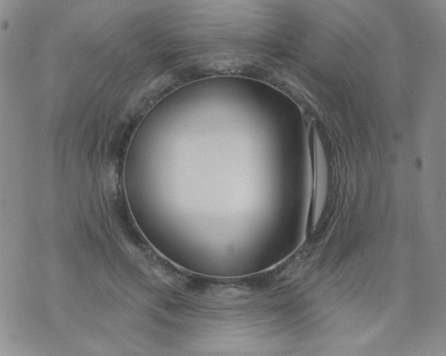 X0000074320597200609152034