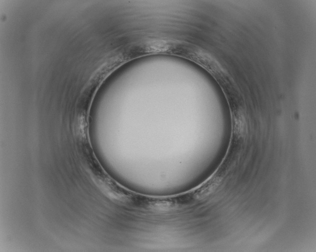 X0000074320598200609152034