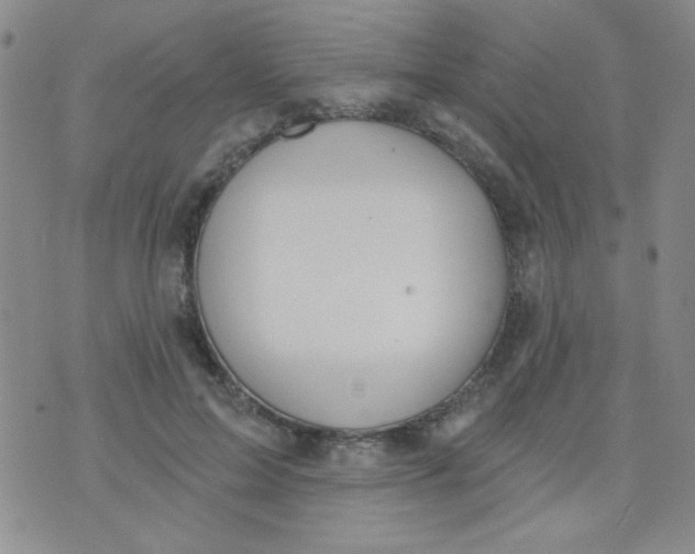 X0000074320599200609152034