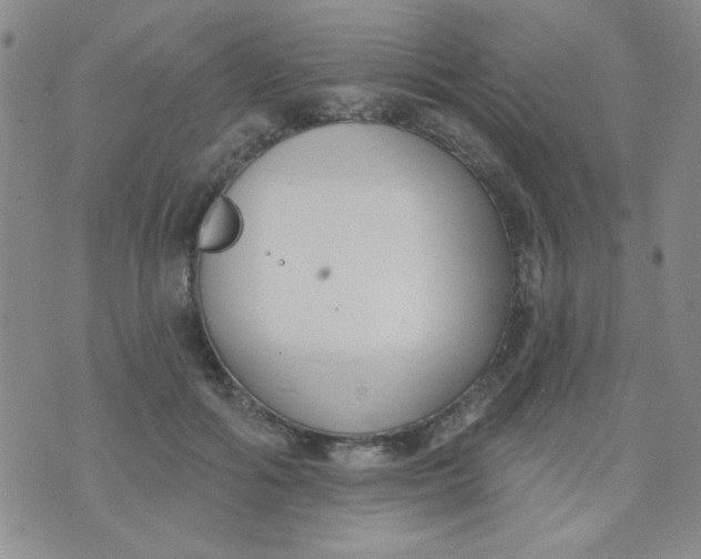 X0000074320602200609152034