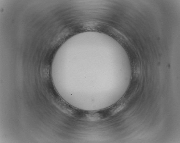 X0000074320603200609152034