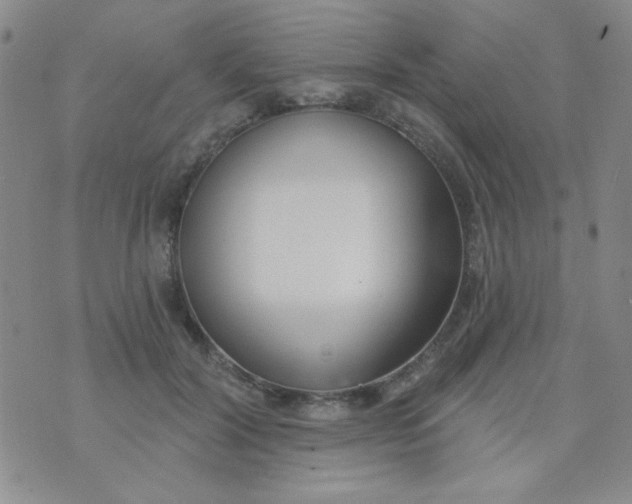 X0000074320604200609152034