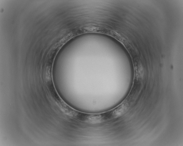 X0000074320606200609152034