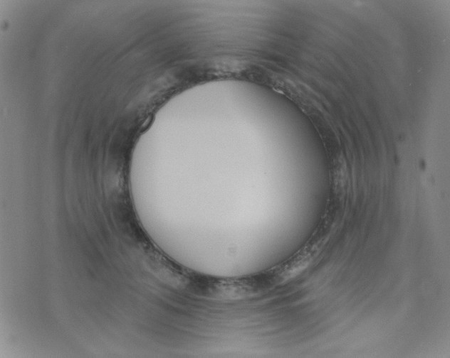 X0000074320608200609152034