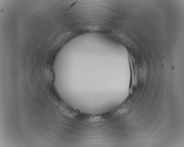 X0000074320609200609152034