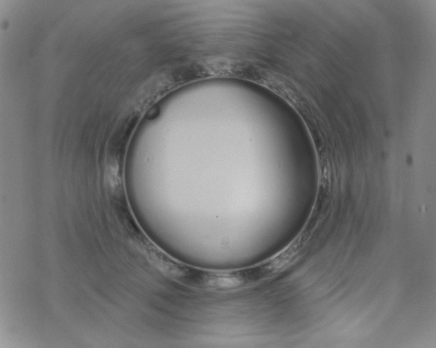 X0000074320610200609152034